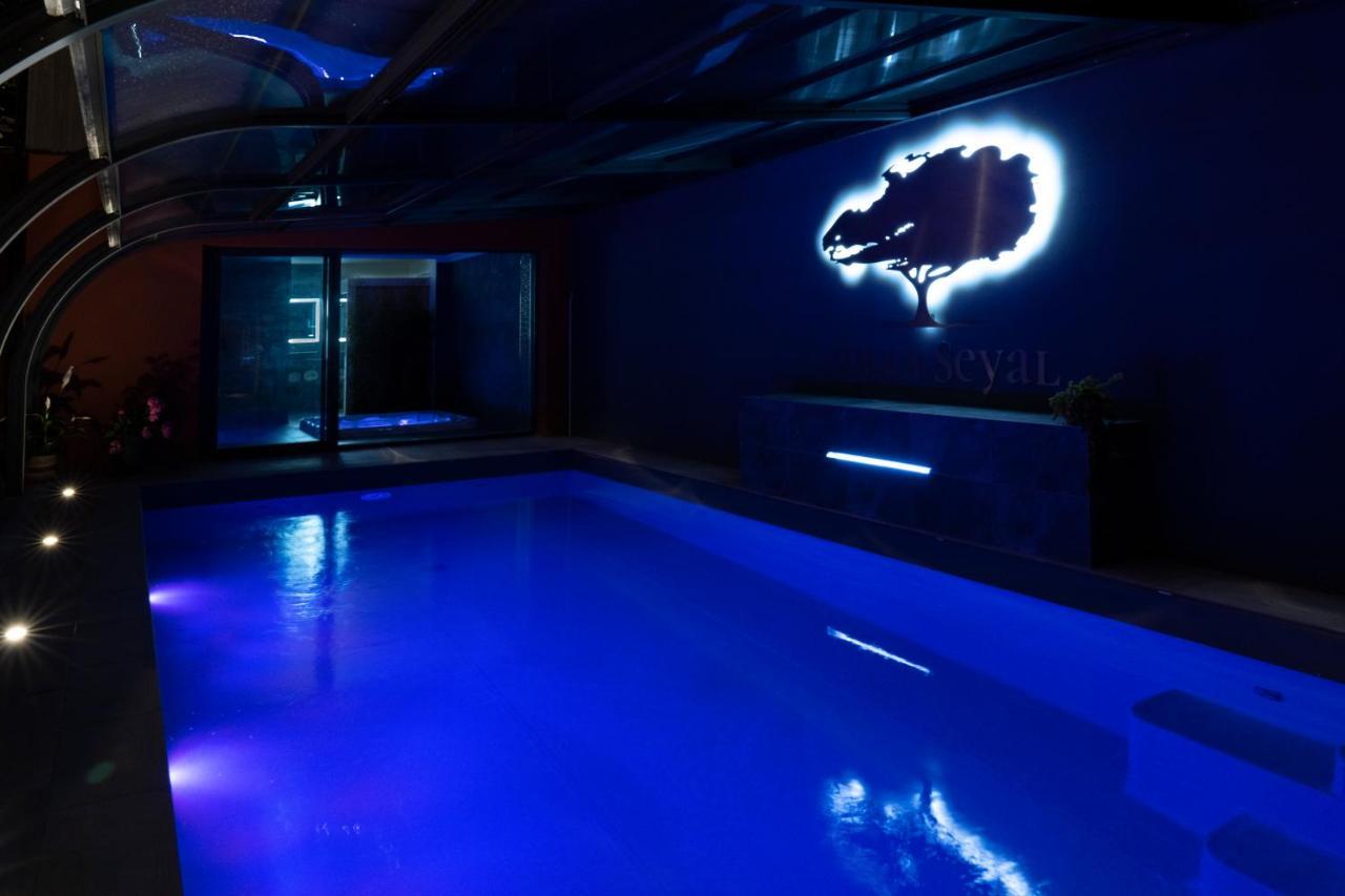 Villa Seyal - Avec Piscine - Jacuzzi - Sauna & Climatisation Le Mans Exteriör bild
